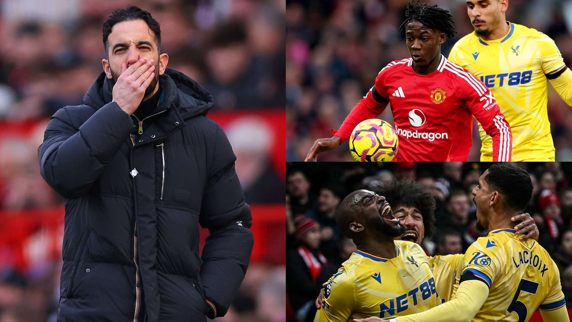 很多人可能 很多人可能